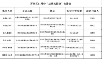 关于十一月份开展 双随机抽查 监督检查执法工作的通知