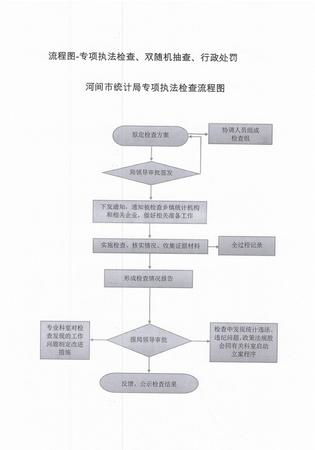 流程图 专项执法检查 双随机抽查 行政处罚